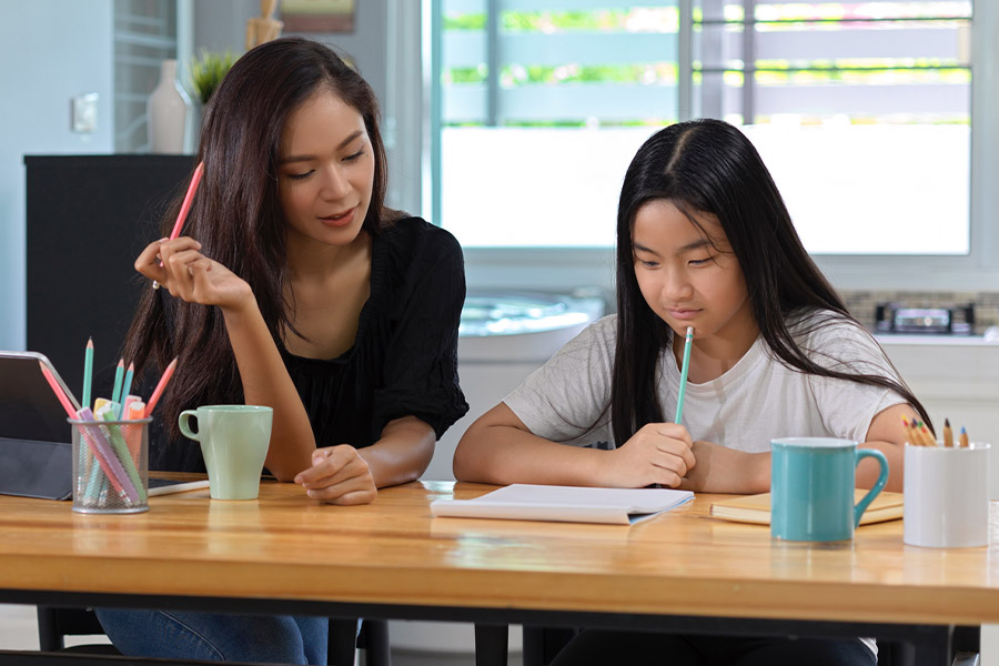 student and tutor together at a desk in St Louis